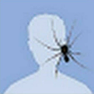 ˖ ݁◟?????????. - Telegram Channel