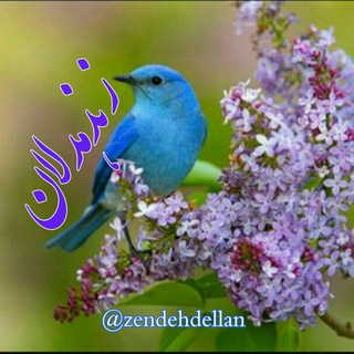 ?زندهدلان? - Telegram Channel