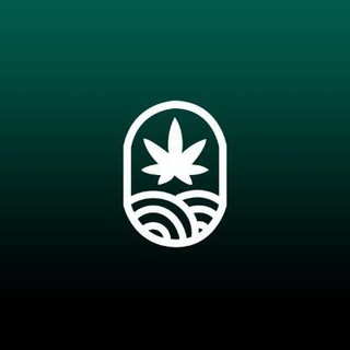 Juicyfields.io ? Telegram channel
