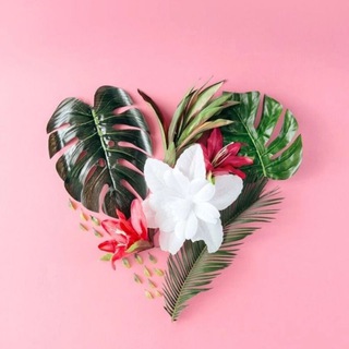 نبض♥️ - Telegram Channel