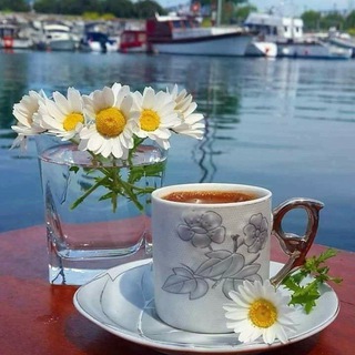 صبحتون پر از نشاط ?، شبتون لبریز از آرامش ? - Telegram Channel