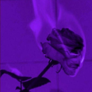 بنفـسـج ?? - Telegram Channel