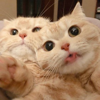 ??? ????? ????????? - Telegram Channel