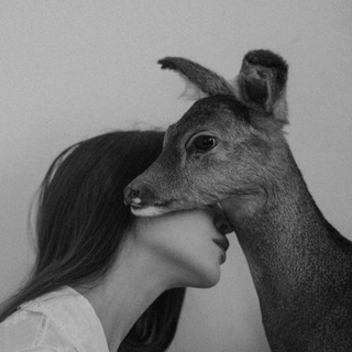 ? - Telegram Channel