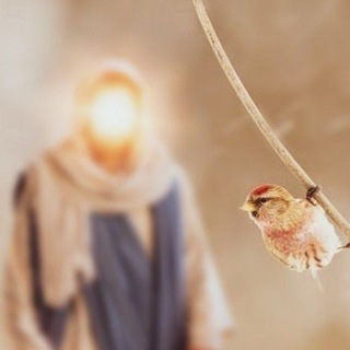 وقلبي بُحبِّ 'المهديِّ' مُتيَّما - Telegram Channel