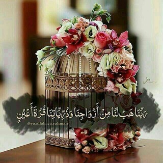 تعالوا نملأ بيوتنا حب - Telegram Channel