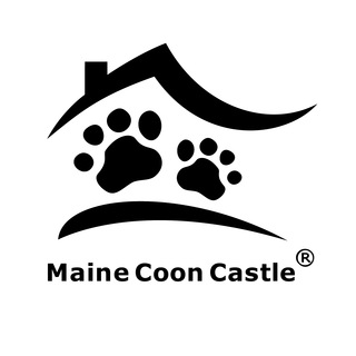 Maine Coon Castle Telegram channel