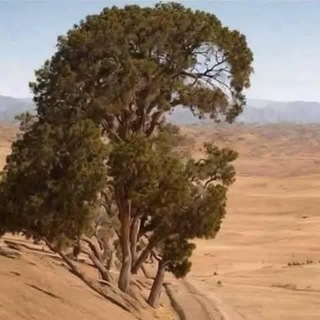 رجعت عیسی ع