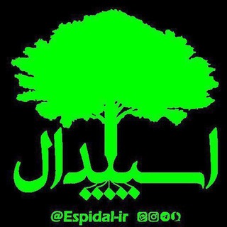 ?اسپیدال - Telegram Channel