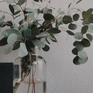 لله نمضي?? - Telegram Channel