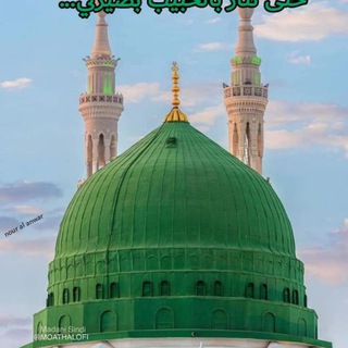 هذا الحبيب ? - Telegram Channel