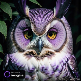 ?şeytan baykuş جغد شیطون? - Telegram Channel