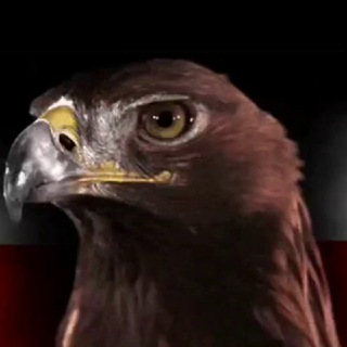 GlobalPatriots Telegram channel