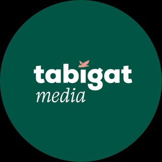 Tabigat Media