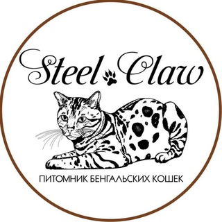 Питомник бенгальских кошек 
