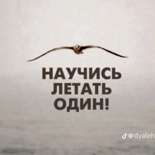 LABO БАЗАР Ош Жалал Абад