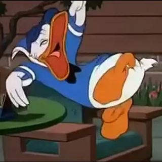 СМЕХОТАЧ • юмор мемы видео