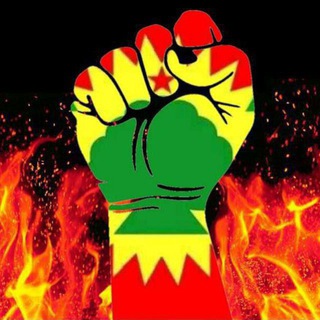 Save Oromia