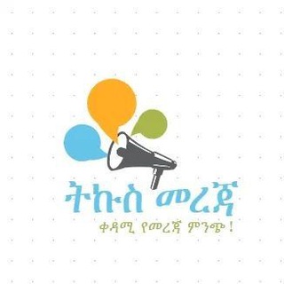 ትኩስ መረጃ