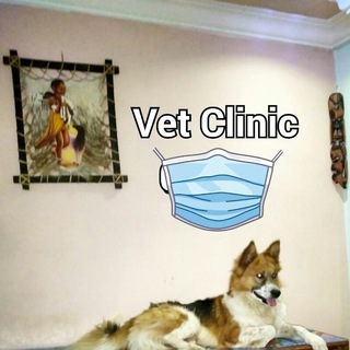 VET CLINIC