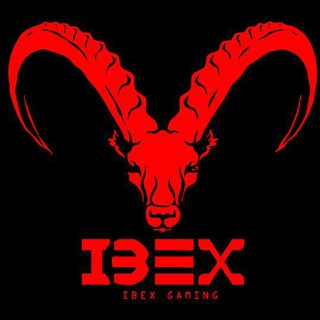 iBex Gaming