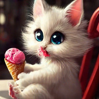 ?Funny ? Cute ? Kitties?