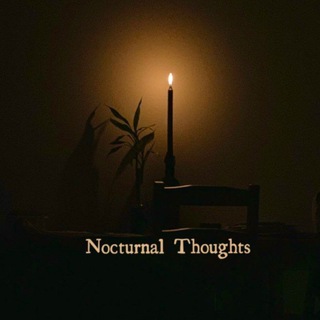 Nocturnal Thoughts