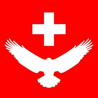 Shipi Telegram channel