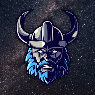 Space Vikings LLC ⚔️ Telegram channel