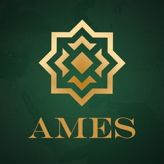 Це AMES: коментарі, оцінки, погляди
