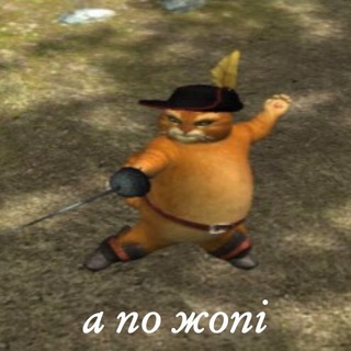 КОД Кам'янця