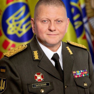 Фани Валерія Залужного ➕