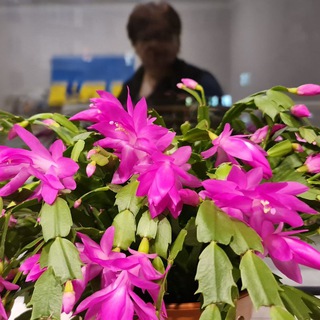 Ірина МИКИЧАК_МОЗ