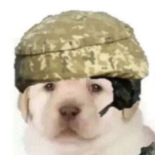 єСмішинка