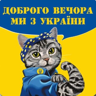 Finance Cats from Ukraine