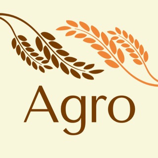 Агро чат??