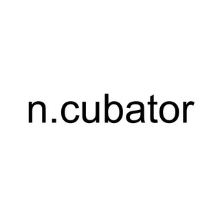 n.cubator - learning by doing