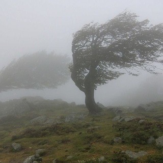 Північний вітер