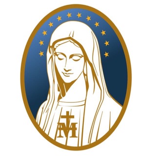 VINDE E VEDE BRASIL Telegram channel