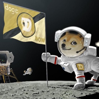 CasinoDoge.org Telegram channel