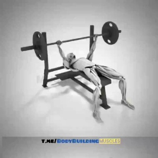BodyBuilding & FITNESS