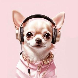 foxmusic
