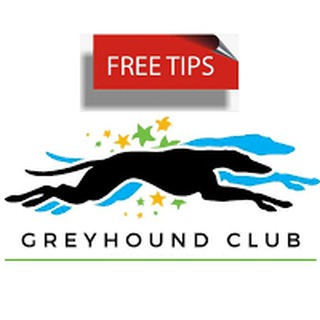 Guru Galgos & Cavalos Tips Free Telegram channel