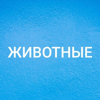 ЖИВОТНЫЕ ХАРЬКОВ