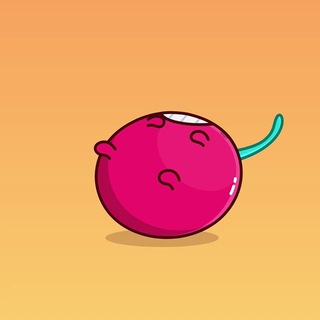 Dumok_shop