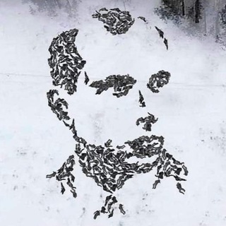 Удобрения