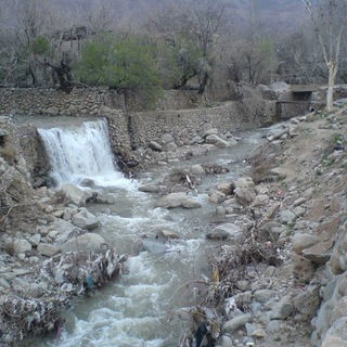 bonastanبنستان شیرکوه Telegram