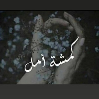 كمشة آمل ? Telegram