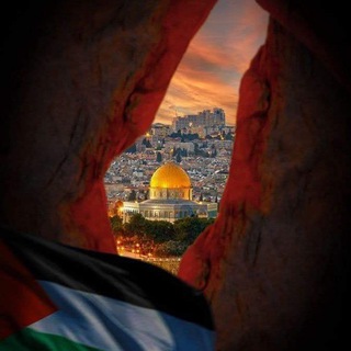 Winter | شِتاء Telegram