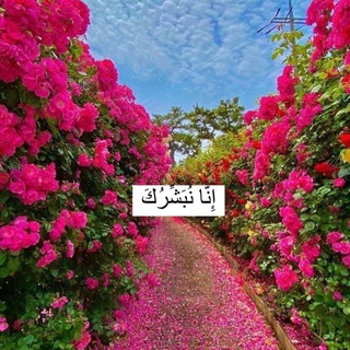 ٺڕافۃ اڷڔۄح❤️?️ Telegram